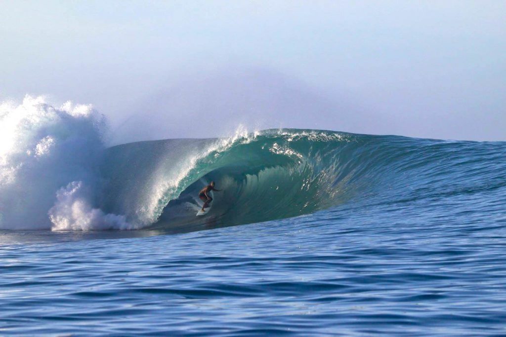 mentawai surf charter wave tourism